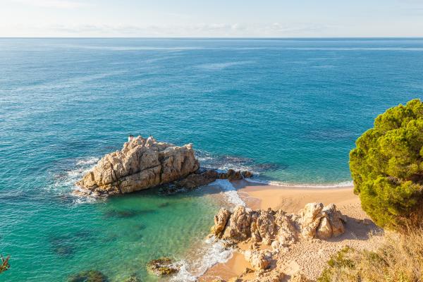 1716942595 77 Litorales que son tipos ecosistema y ejemplos - 2026 - Las zonas costeras son franjas de terreno que se sitúan en la transición entre tierra y mar, abarcando una diversidad de ecosistemas litorales de gran importancia tanto para la vida natural como la humana. Desde las costas de arena hasta los arrecifes de coral, estos entornos dinámicos albergan una rica biodiversidad y proveen diversos servicios ecosistémicos. Existen numerosos tipos de zonas costeras con características distintas. En este artículo de ContaminaciónAmbiental vamos a explicarte qué son las zonas costeras, sus variedades, su ecosistema y ejemplos. Litorales: qué son, tipos, ecosistema y ejemplos - Ejemplos de litorales
