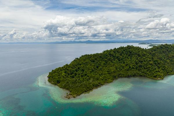 1716954178 901 Las islas mas grandes del mundo - 2026 - Las islas son extensiones de tierra rodeadas de agua, las cuales varían en forma, tamaño, posición geográfica, densidad de población, entre otras características. Entre las islas más grandes a nivel mundial se encuentran Groenlandia, Nueva Guinea, Borneo, Madagascar, Baffin, Sumatra, Honshu, Gran Bretaña, Isla Victoria e Isla Ellesmere. Las islas más grandes del mundo - Borneo