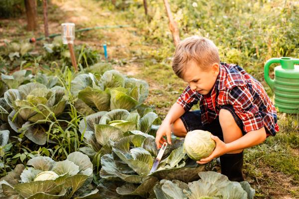 1716998341 572 Agroturismo que es caracteristicas y actividades - 2026 - El agroturismo se caracteriza por su enfoque en la conexión directa con entornos rurales y agrícolas. Este tipo de turismo busca brindar a los viajeros la experiencia inmersiva de la vida en el campo, permitiéndoles participar activamente en actividades agrícolas y ganaderas. A través de la estadía en alojamientos rurales y la interacción directa con las labores del campo, el agroturismo fomenta la comprensión de las prácticas agrícolas, la promoción de productos locales y la contribución al desarrollo sostenible de las comunidades rurales. En este artículo de ContaminaciónAmbiental te contaremos en qué consiste el agroturismo, sus atributos y las actividades principales que se realizan. Agroturismo: qué es, características y actividades - Qué es el agroturismo