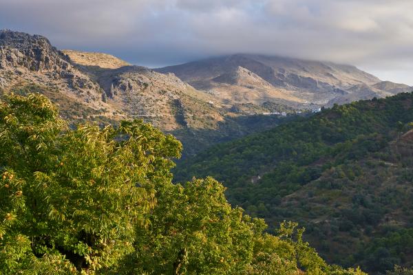 Los mejores valles de España - Valle del Genal