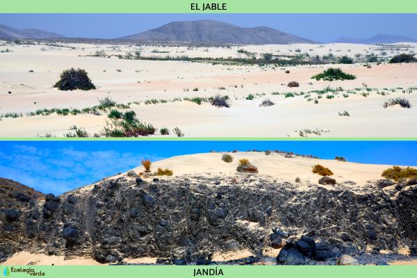 1717030656 349 Los desiertos de Espana que no te puedes perder - 2026 - En los paisajes desérticos de España se encuentran el desierto de Tabernas, las Bardenas Reales, el desierto de Gorafe, Monegros, Lanzarote y Fuerteventura. Aunque en España no existen los tradicionales desiertos de arena como el Sahara, todos los paisajes desérticos del mundo, incluidos los de España, comparten una característica en común: su extrema aridez. Cuanto más cálido sea el clima, más árido será el entorno y habrá menos especies de plantas y animales. Los desiertos de España que no te puedes perder - Lanzarote y Fuerteventura