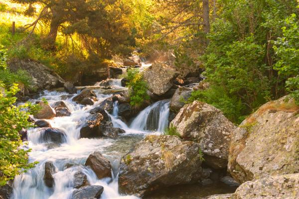 1717032226 244 Que es un arroyo y como se forma - 2026 - El concepto de "arroyo" se utiliza para describir un flujo de agua natural que se manifiesta de manera continua o intermitente a lo largo de un lecho de arroyo. Su diferenciación principal se centra en su tamaño, siendo notablemente más reducido que un río. Estos cuerpos de agua se crean comúnmente a través de la acumulación de agua procedente de diversas fuentes, como precipitaciones, deshielo de la nieve o surgimientos en áreas elevadas. Qué es un arroyo y cómo se forma - Qué es un arroyo