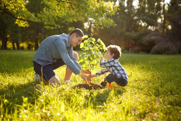 1717044865 258 Tierra de diatomeas que es y para que sirve - 2026 - Las algas fosilizadas, también conocidas como diatomeas, se utilizan en forma de polvo con diferentes aplicaciones, como fertilizantes naturales, insecticidas ecológicos para los cultivos, entre otros usos habituales. Al utilizarse en polvo, también se les llama polvos blancos. En consecuencia, constituyen un fertilizante natural altamente beneficioso para los suelos. Tierra de diatomeas: qué es y para qué sirve - Para qué sirve la tierra de diatomeas o diatomita