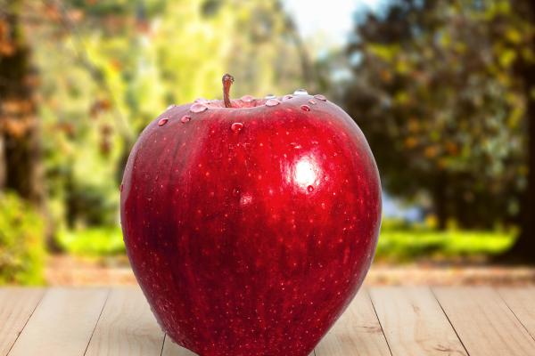 Frutas de otoño - Manzana