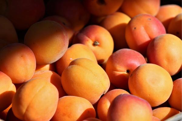 Frutas de otoño - Durazno o melocotón