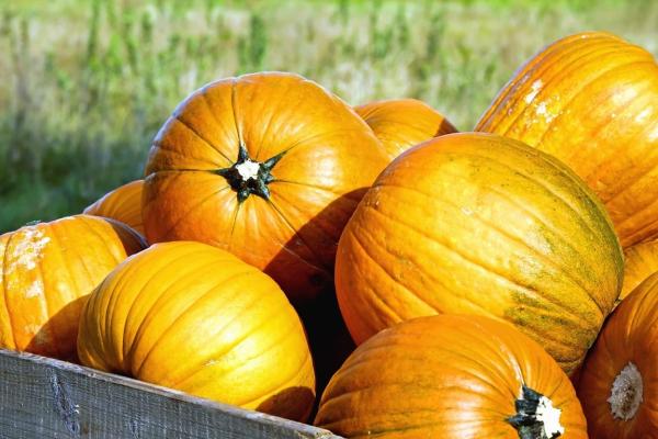 Frutas de otoño - Calabazas