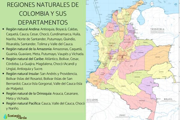1717400458 153 Regiones naturales de Colombia - 2026 - Colombia, situada en América del Sur, posee una extensión de 2.070.408 km2, abarcando tanto su territorio terrestre como marítimo. Su territorio se encuentra dividido en 6 regiones geográficas, cada una con características peculiares que hacen de este país un lugar de gran riqueza ecológica. Además, su población es multicultural, resultado de la mezcla entre indígenas americanos, europeos y africanos, lo que lo convierte en un país sumamente diverso en muchos aspectos. Regiones naturales de Colombia - Cuáles son las regiones naturales de Colombia y sus departamentos