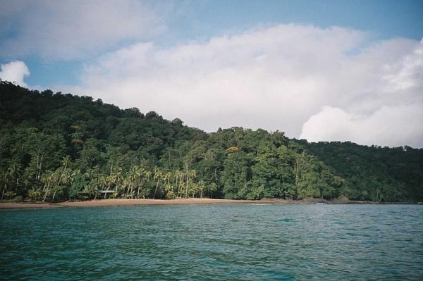 1717400458 738 Regiones naturales de Colombia - 2026 - Colombia, situada en América del Sur, posee una extensión de 2.070.408 km2, abarcando tanto su territorio terrestre como marítimo. Su territorio se encuentra dividido en 6 regiones geográficas, cada una con características peculiares que hacen de este país un lugar de gran riqueza ecológica. Además, su población es multicultural, resultado de la mezcla entre indígenas americanos, europeos y africanos, lo que lo convierte en un país sumamente diverso en muchos aspectos. Regiones naturales de Colombia - Región natural del Pacífico colombiano