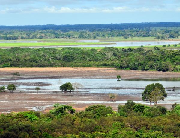 1717400458 781 Regiones naturales de Colombia - 2026 - Colombia, situada en América del Sur, posee una extensión de 2.070.408 km2, abarcando tanto su territorio terrestre como marítimo. Su territorio se encuentra dividido en 6 regiones geográficas, cada una con características peculiares que hacen de este país un lugar de gran riqueza ecológica. Además, su población es multicultural, resultado de la mezcla entre indígenas americanos, europeos y africanos, lo que lo convierte en un país sumamente diverso en muchos aspectos. Regiones naturales de Colombia - Orinoquía