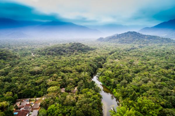 1717400458 807 Regiones naturales de Colombia - 2026 - Colombia, situada en América del Sur, posee una extensión de 2.070.408 km2, abarcando tanto su territorio terrestre como marítimo. Su territorio se encuentra dividido en 6 regiones geográficas, cada una con características peculiares que hacen de este país un lugar de gran riqueza ecológica. Además, su población es multicultural, resultado de la mezcla entre indígenas americanos, europeos y africanos, lo que lo convierte en un país sumamente diverso en muchos aspectos. Regiones naturales de Colombia - Amazonia o región Amazónica colombiana