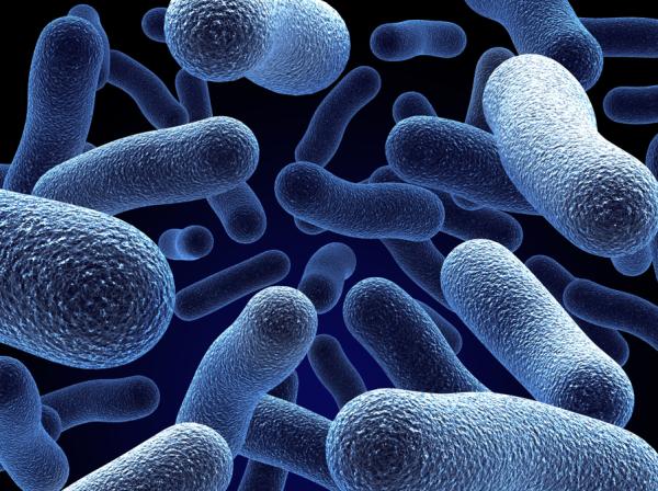 1717428278 157 Que es la taxonomia y como se clasifica - 2026 - El mundo que nos rodea está compuesto por una amplia variedad de elementos que en un principio pueden parecer caóticos y sin relación entre sí. No obstante, al observar detenidamente, podemos identificar similitudes entre ellos ya sea por su origen o sus características. A través del estudio, especialmente en el ámbito de la biología, el ser humano ha logrado descubrir estas similitudes. Para comprender mejor los objetos de estudio, se han desarrollado sistemas de ordenamiento que permiten dividirlos en partes más manejables y comprensibles. Es aquí donde entra en juego la taxonomía, un método de clasificación basado en jerarquías. En este artículo de ContaminaciónAmbiental se explorará qué es exactamente la taxonomía, cómo se realiza su clasificación, cómo ha evolucionado y cuál es su relevancia en el ámbito de las ciencias biológicas. Qué es la taxonomía y cómo se clasifica - Taxonomía de Carl Woese