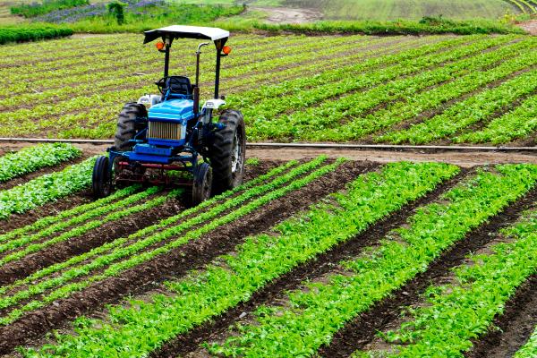 Recursos naturales de España - Tierras agrícolas