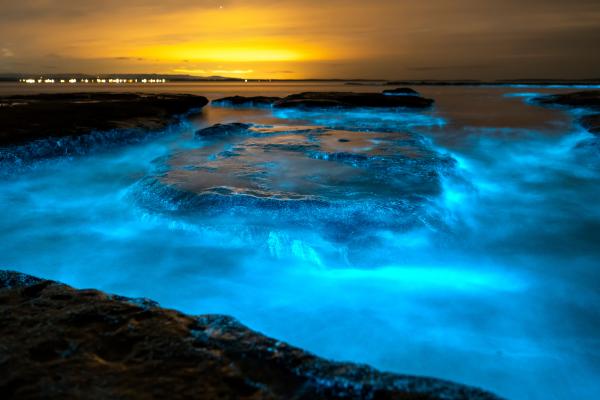 1717447651 350 Mar de ardora que es y playas bioluminiscentes en Espana - 2026 - Contemplar el mar azul brillante nos transporta a una escena que parece sacada de una película de ciencia ficción, pero la realidad puede ser aún más asombrosa. El océano luminoso es un fenómeno bioluminiscente donde el agua del mar resplandece en la oscuridad al romper las olas u otros movimientos. Aunque pueda parecer sorprendente, este espectáculo no es nuevo. Existente registros que narran la fulgurante estela que dejaban las hélices de los barcos en travesías por el Atlántico o el Pacífico, e incluso el deslumbrante juego de luces provocado por los saltos de los delfines. Este fenómeno ha despertado un notable interés en el ámbito científico y ambiental. Mar de ardora: qué es y playas bioluminiscentes en España - Qué es el mar de ardora y cómo se produce
