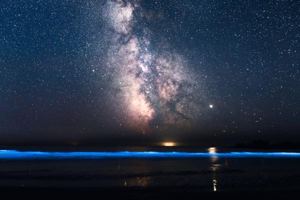 1717447652 393 Mar de ardora que es y playas bioluminiscentes en Espana - 2026 - Contemplar el mar azul brillante nos transporta a una escena que parece sacada de una película de ciencia ficción, pero la realidad puede ser aún más asombrosa. El océano luminoso es un fenómeno bioluminiscente donde el agua del mar resplandece en la oscuridad al romper las olas u otros movimientos. Aunque pueda parecer sorprendente, este espectáculo no es nuevo. Existente registros que narran la fulgurante estela que dejaban las hélices de los barcos en travesías por el Atlántico o el Pacífico, e incluso el deslumbrante juego de luces provocado por los saltos de los delfines. Este fenómeno ha despertado un notable interés en el ámbito científico y ambiental. Mar de ardora: qué es y playas bioluminiscentes en España - Playas bioluminiscentes en España