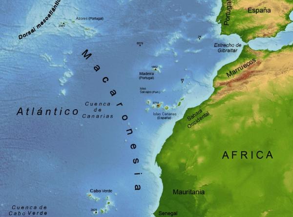 Macaronesia: qué es, islas, clima, flora y fauna - Qué es la macaronesia y sus islas