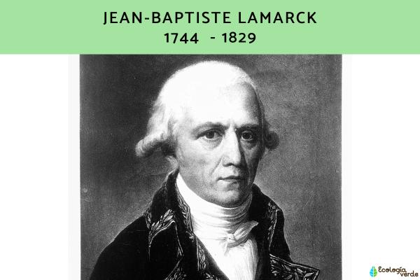 1717467907 255 Teoria de Lamarck que es ejemplo e importancia - 2026 - La teoría de Lamarck constituye una explicación científica sobre la transformación de las especies. Como ejemplo ilustrativo, se menciona el alargamiento del cuello de las jirafas como adaptación al entorno, transmitida de generación en generación. A pesar de que el proceso evolutivo no opera de esta manera, su relevancia radica en haber sido la primera propuesta evolutiva, sentando las bases para futuras teorías. Teoría de Lamarck: qué es, ejemplo e importancia - Biografía de Jean-Baptiste Lamarck