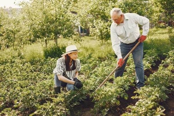 Agroturismo que es caracteristicas y actividades - 2026 - El agroturismo se caracteriza por su enfoque en la conexión directa con entornos rurales y agrícolas. Este tipo de turismo busca brindar a los viajeros la experiencia inmersiva de la vida en el campo, permitiéndoles participar activamente en actividades agrícolas y ganaderas. A través de la estadía en alojamientos rurales y la interacción directa con las labores del campo, el agroturismo fomenta la comprensión de las prácticas agrícolas, la promoción de productos locales y la contribución al desarrollo sostenible de las comunidades rurales. En este artículo de ContaminaciónAmbiental te contaremos en qué consiste el agroturismo, sus atributos y las actividades principales que se realizan. Agroturismo: qué es, características y actividades