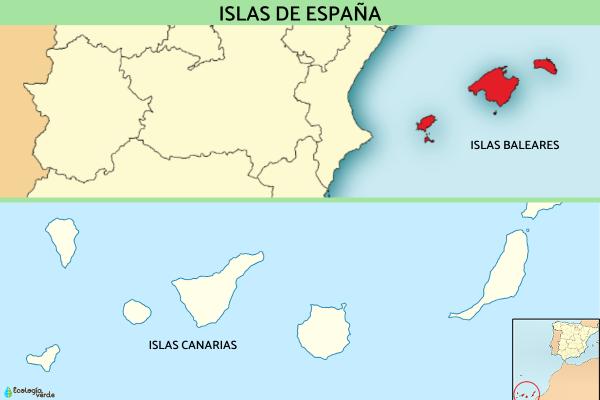 Cuantas islas tiene Espana - 2026 - En España se ubican 11 islas destacadas que pertenecen a los reconocidos archipiélagos de las Islas Canarias e Islas Baleares. Sin embargo, estas no son las únicas islas existentes en territorio español, ya que en realidad hay aproximadamente 179 islas e islotes. En este artículo de Contaminación Ambiental te revelamos cuántas islas hay en España y te mostramos algunos ejemplos de las más relevantes y fascinantes. ¡No te lo pierdas! Cuántas islas tiene España