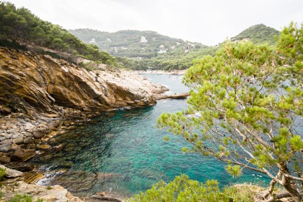 Litorales que son tipos ecosistema y ejemplos - 2026 - Las zonas costeras son franjas de terreno que se sitúan en la transición entre tierra y mar, abarcando una diversidad de ecosistemas litorales de gran importancia tanto para la vida natural como la humana. Desde las costas de arena hasta los arrecifes de coral, estos entornos dinámicos albergan una rica biodiversidad y proveen diversos servicios ecosistémicos. Existen numerosos tipos de zonas costeras con características distintas. En este artículo de ContaminaciónAmbiental vamos a explicarte qué son las zonas costeras, sus variedades, su ecosistema y ejemplos. Litorales: qué son, tipos, ecosistema y ejemplos