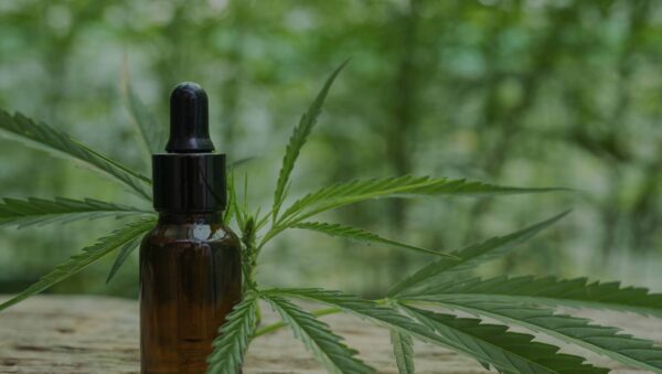 aceite de cbd 01 1 - ¿Es ecológico el aceite de CBD? El impacto ambiental detrás de su producción